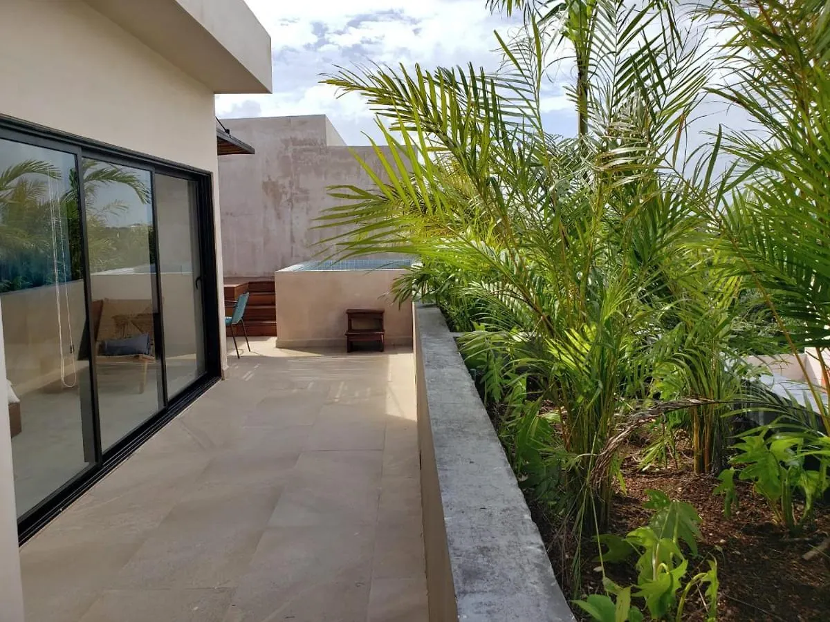 Cacao Tulum -Luxury Condos-